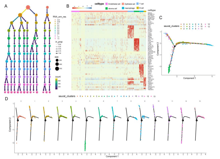 文献阅读分享｜single-cell和bulk RNA测序数据的综合分析揭示了免疫相关lncRNA-mRNA在三阴性乳腺癌中的预后信号